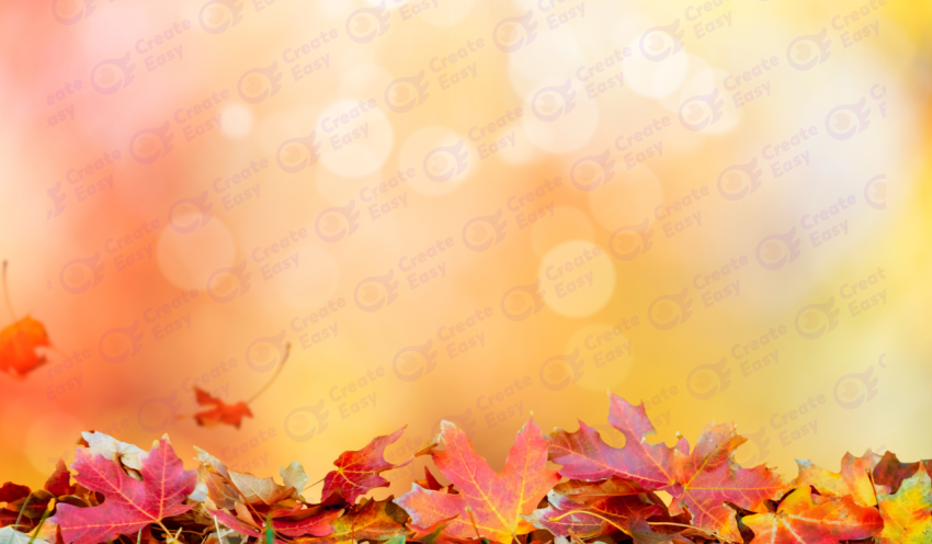 Red Leaves Color Background