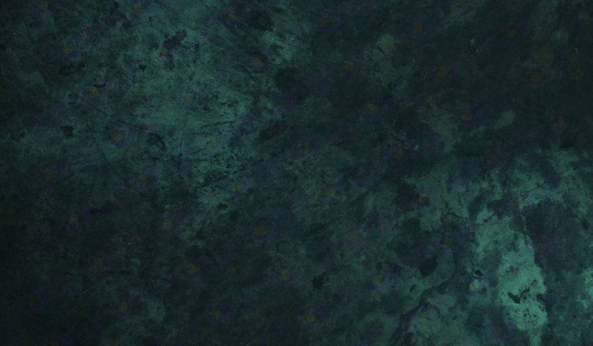 Dark Green Texture Background