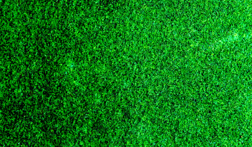 Artificial Grass color texture background