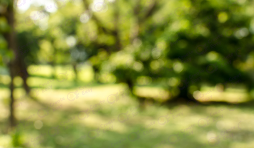 Blurred Park color texture background