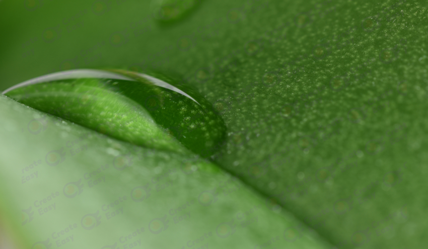 Green color texture background