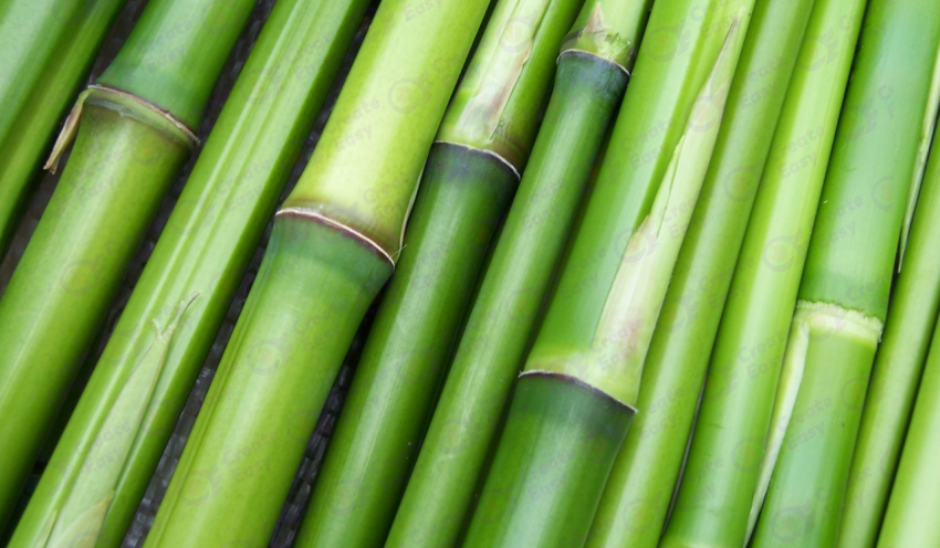 Bamboo Poles color texture background