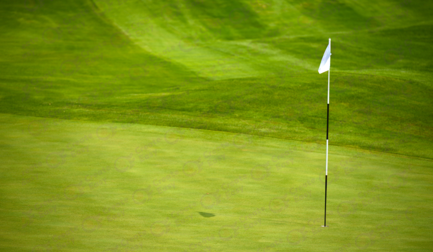 Golf Green Background