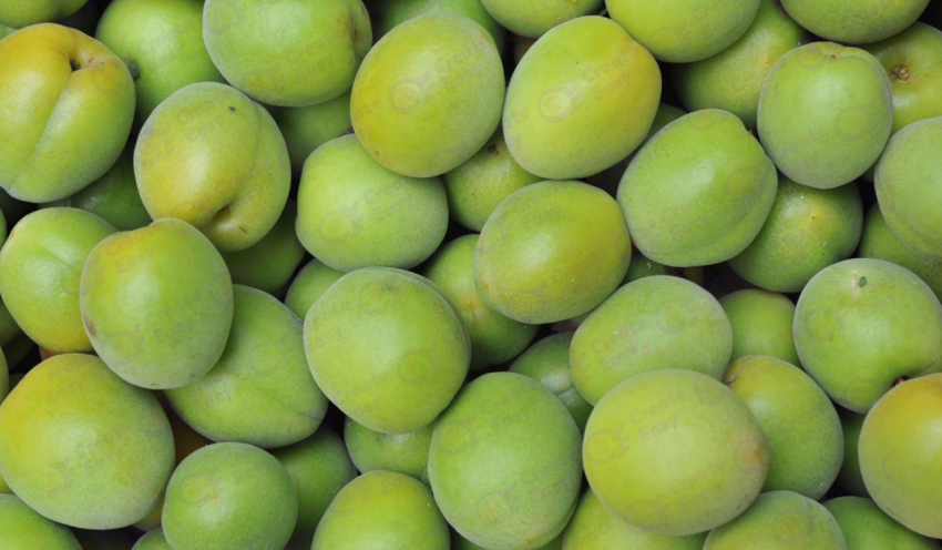 Apricot Background