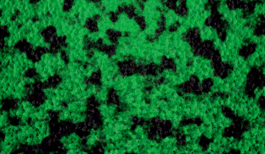 Green background with black inclusions color texture background