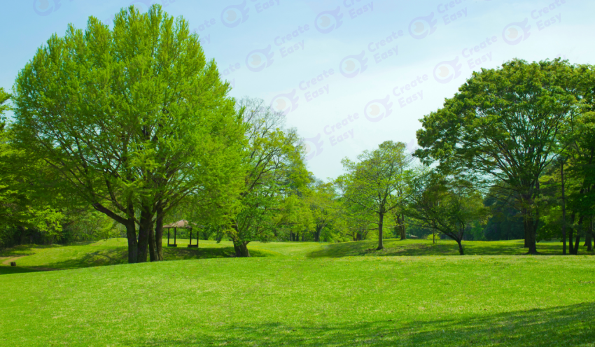 Park Grass Blue Sky Stock color texture background