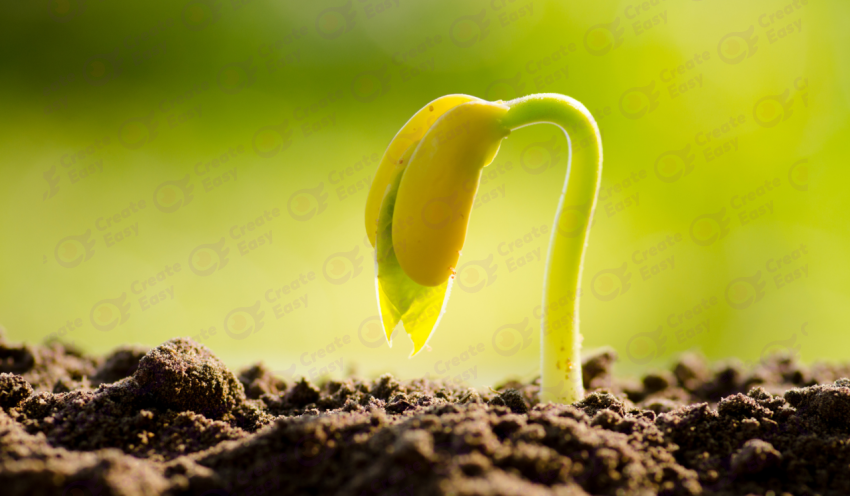 Soybean color texture background