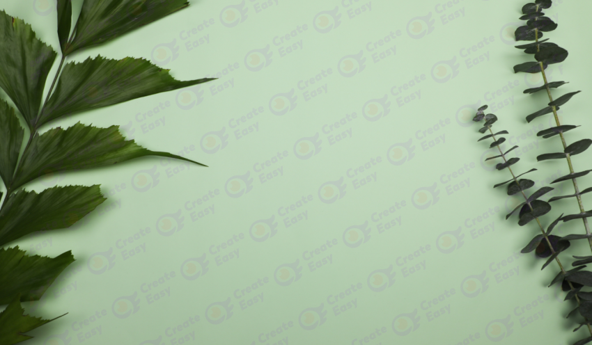 Eucalyptus cinerea color background