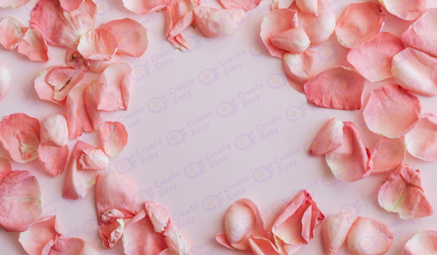 Rose petals color texture background