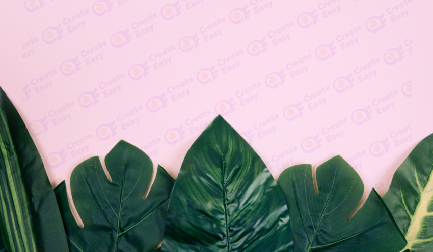Monstera leaves on pink color texture background