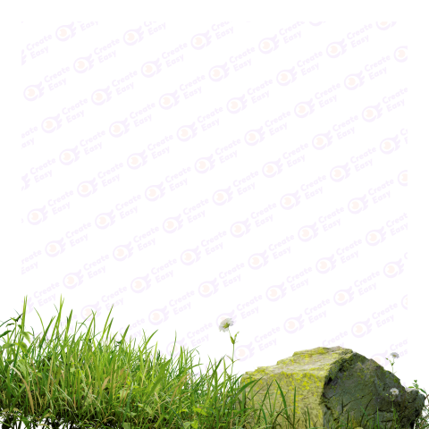 Grass and stone Land surface png