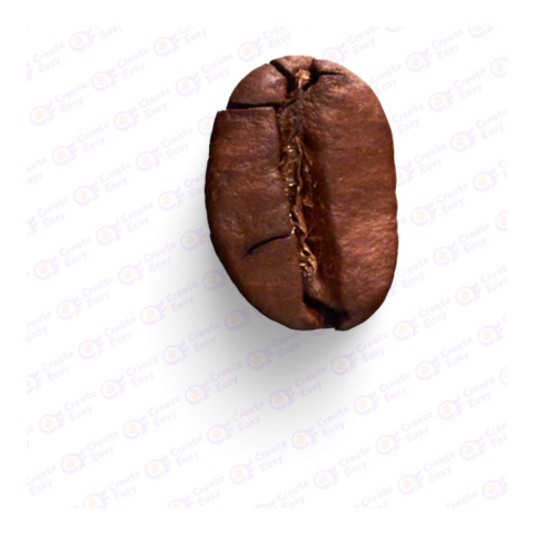 Coffe seed createeasy png