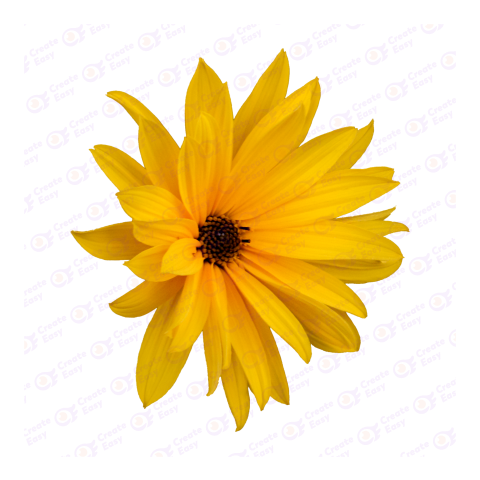 Flower createeasy png