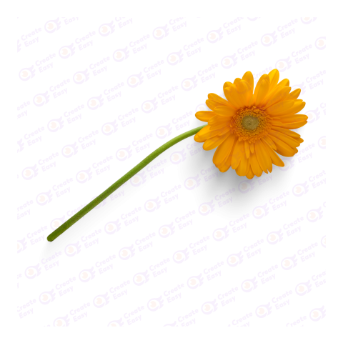 Flower createeasy png