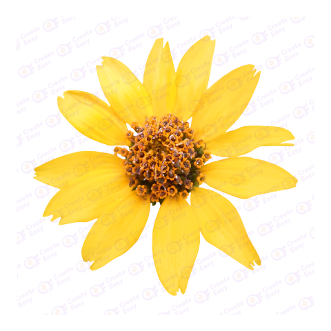 Yellow Flower createeasy png