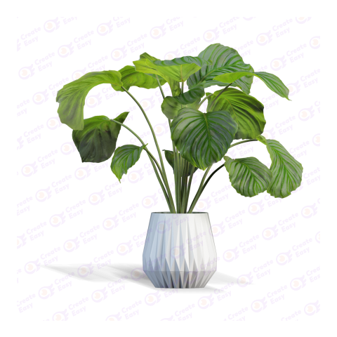 plant with pot createeasy png