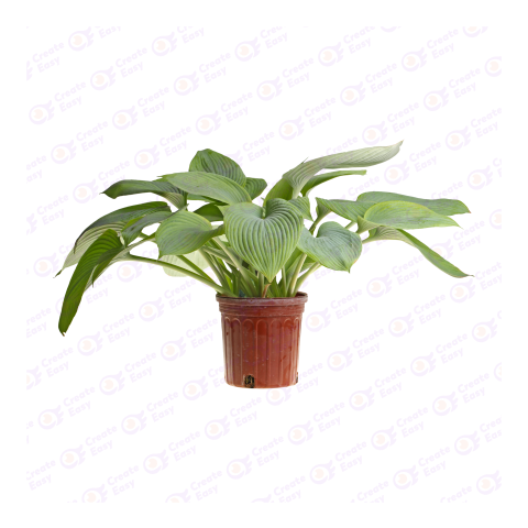 plant pot green createeasy png