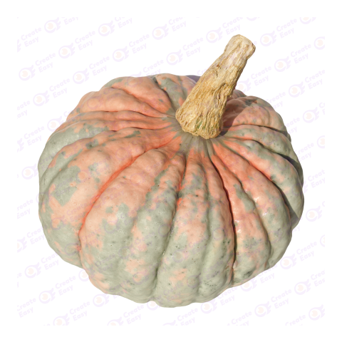 pumpkin vegetable createeasy png