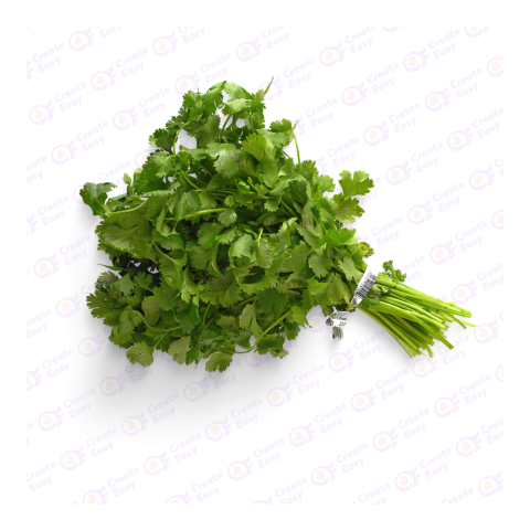 Coriander leaf createeasy png