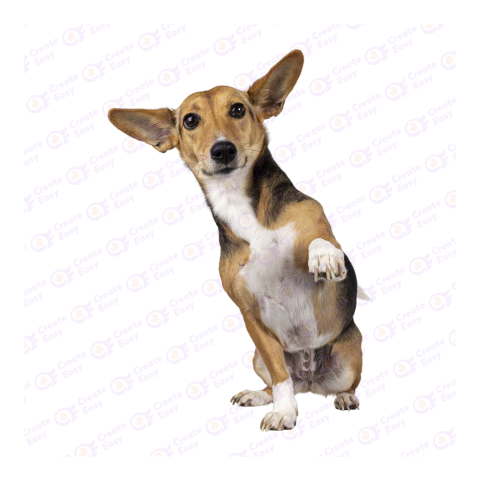 Basenji png image