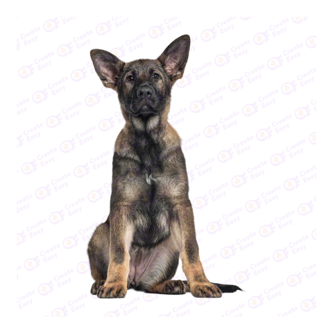 German Shepherd dog png image