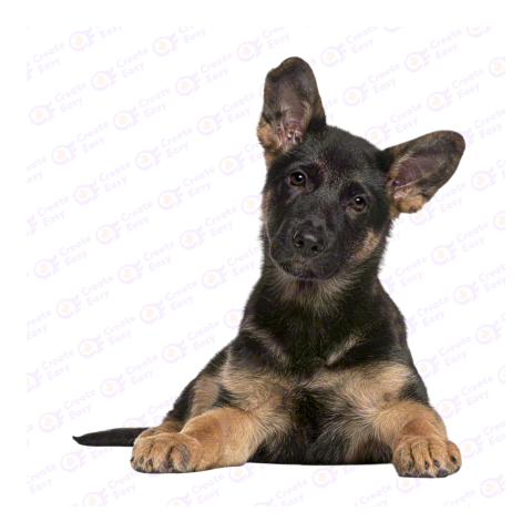 Old German Shepherd Dog png image