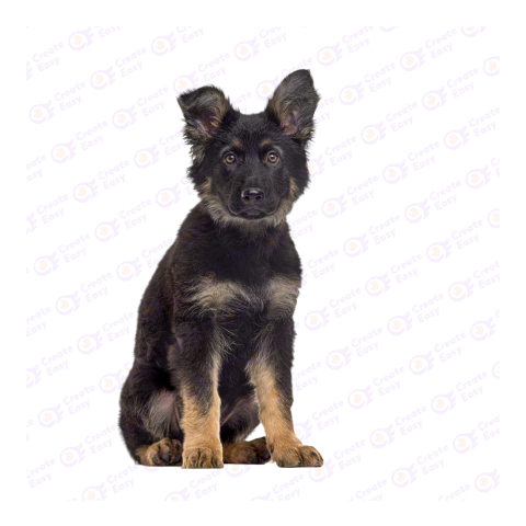 Old German Shepherd Dog png image