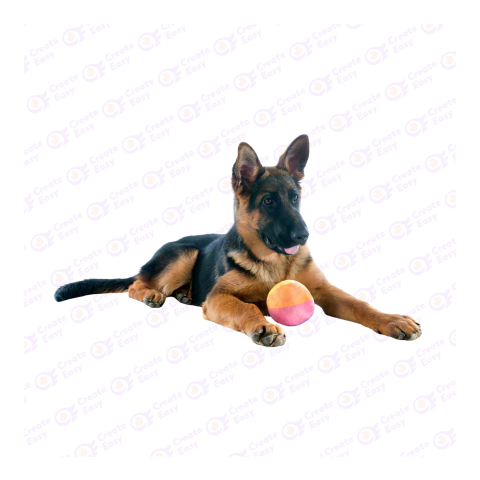 Old German Shepherd Dog png image
