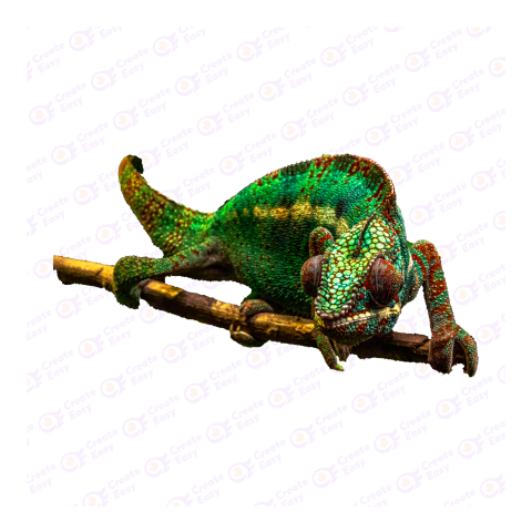Panther chameleon png image