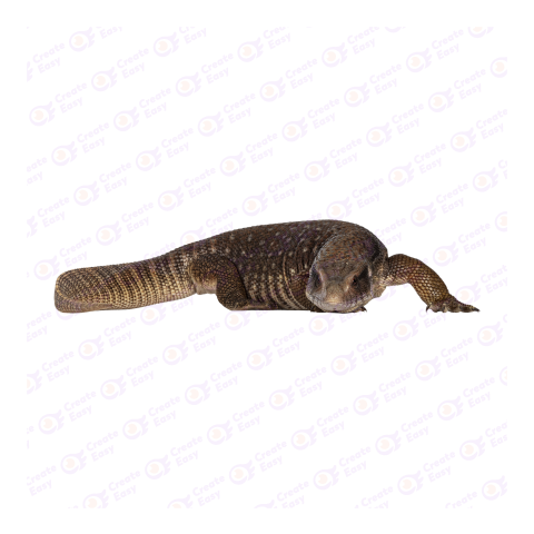 Savannah monitor png image
