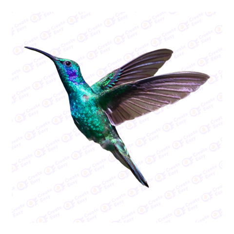 Sparkling violetear png image