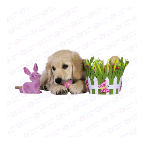 Golden Retriever png image