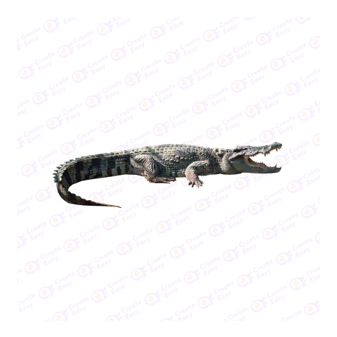 Nile crocodile png image