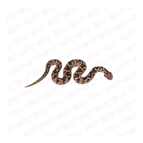 Moorish viper png image