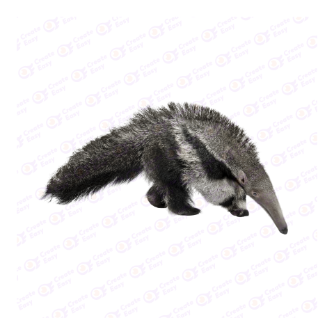 Giant anteater png image