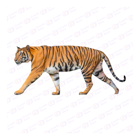 Bengal tiger png image