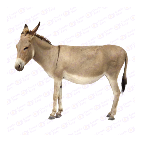 Mule png image