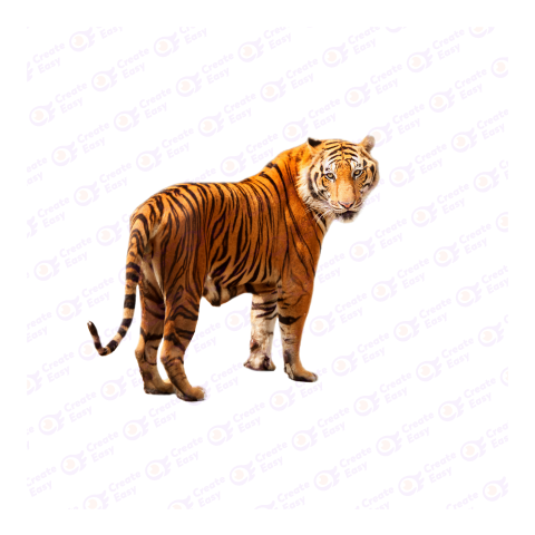 Bengal tiger png image