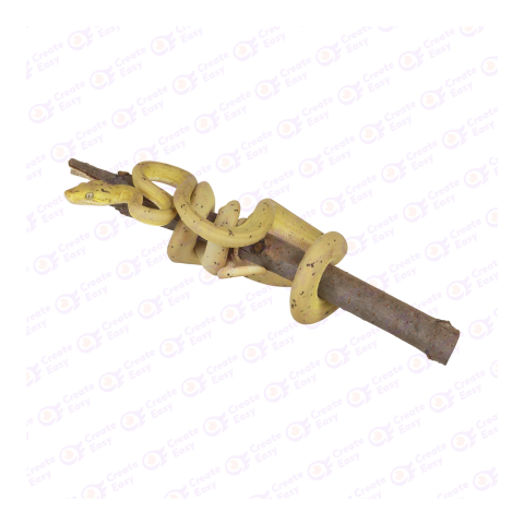 Green tree python png image