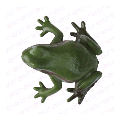 Australian green tree frog png image