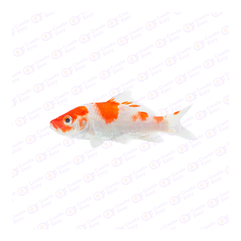 Kōhaku png image