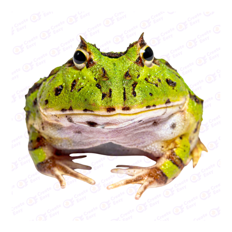 Pacman frog png image