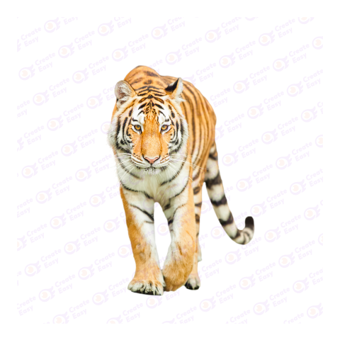 Bengal tiger png image