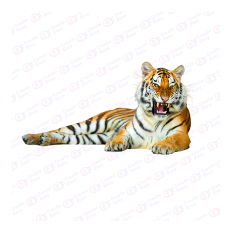 Siberian Tiger png image