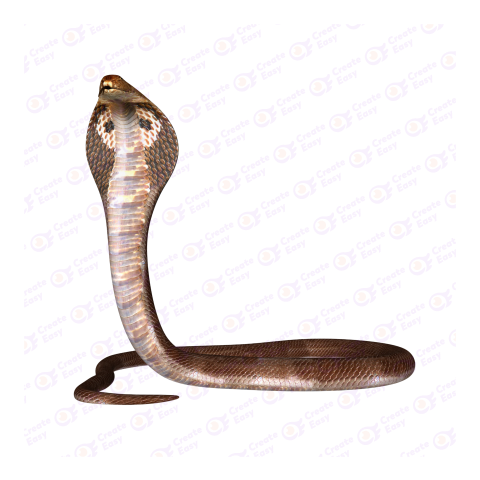King cobra png image