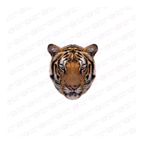 Bengal tiger png image