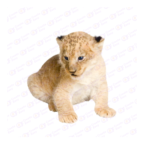 Liger png image