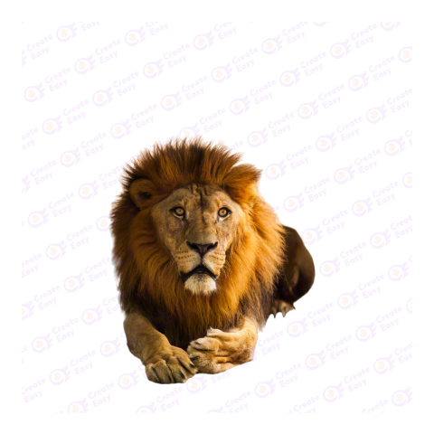 Lion png image