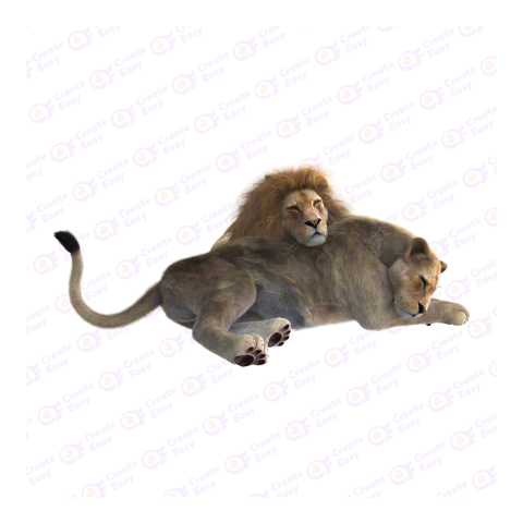 Lioness png image