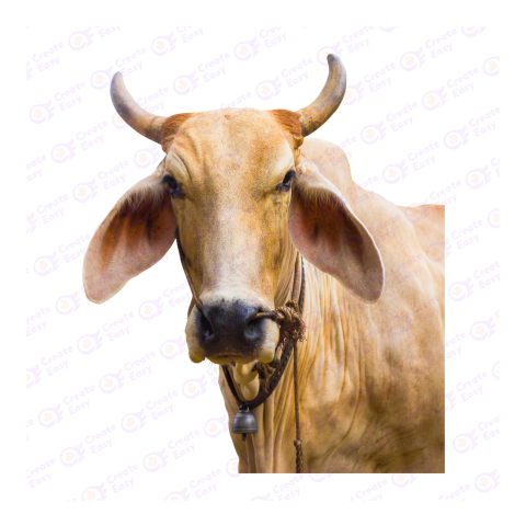 Ox png image